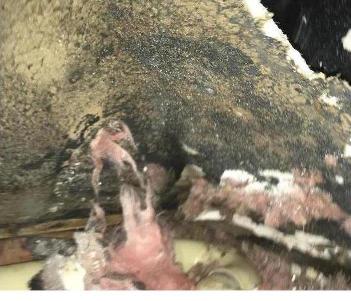 Completely burnt wall and carpet