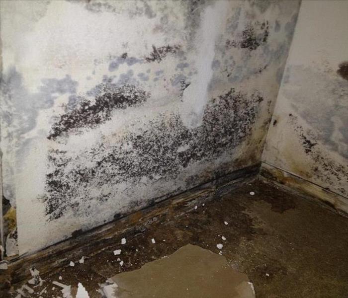 Walls with water damage 